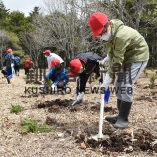 エステー社員や真龍小児童、トドマツの植樹会と木育教育(2023-05-18)