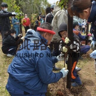 エゾヤマザクラの苗60本植樹　小中学生や地域住民ら　昆布森地区(2023-05-25)