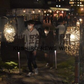 阿寒湖夜の森幻想的に　カムイルミナ開幕(2023-05-14)