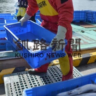 釧路沿岸春定置　トキ３年連続低調(2023-05-30)