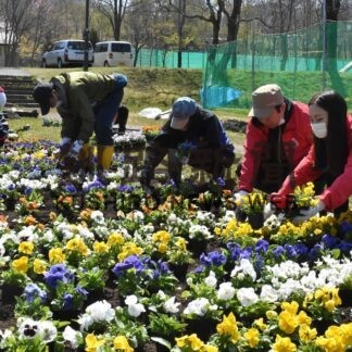 花植え込み会場彩る　チューリップ＆花フェア(2023-05-17)