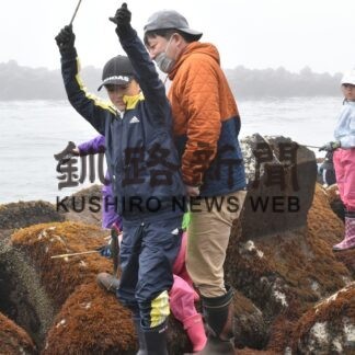 知方学小で磯学習、海洋生物や環境学ぶ(2023-05-28)