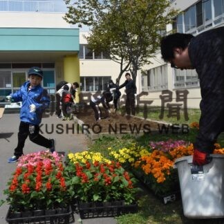 校内の花壇 色彩豊かに　鶴野小、ＰＴＡ中心に整備(2023-05-31)