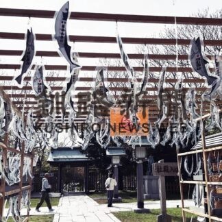 風に舞うサケとサンマの切り絵　根室金刀比羅神社境内に(2023-05-24)