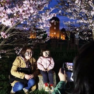 サクラとサイロ映え写真　明治公園でライトアップ(2023-05-08)