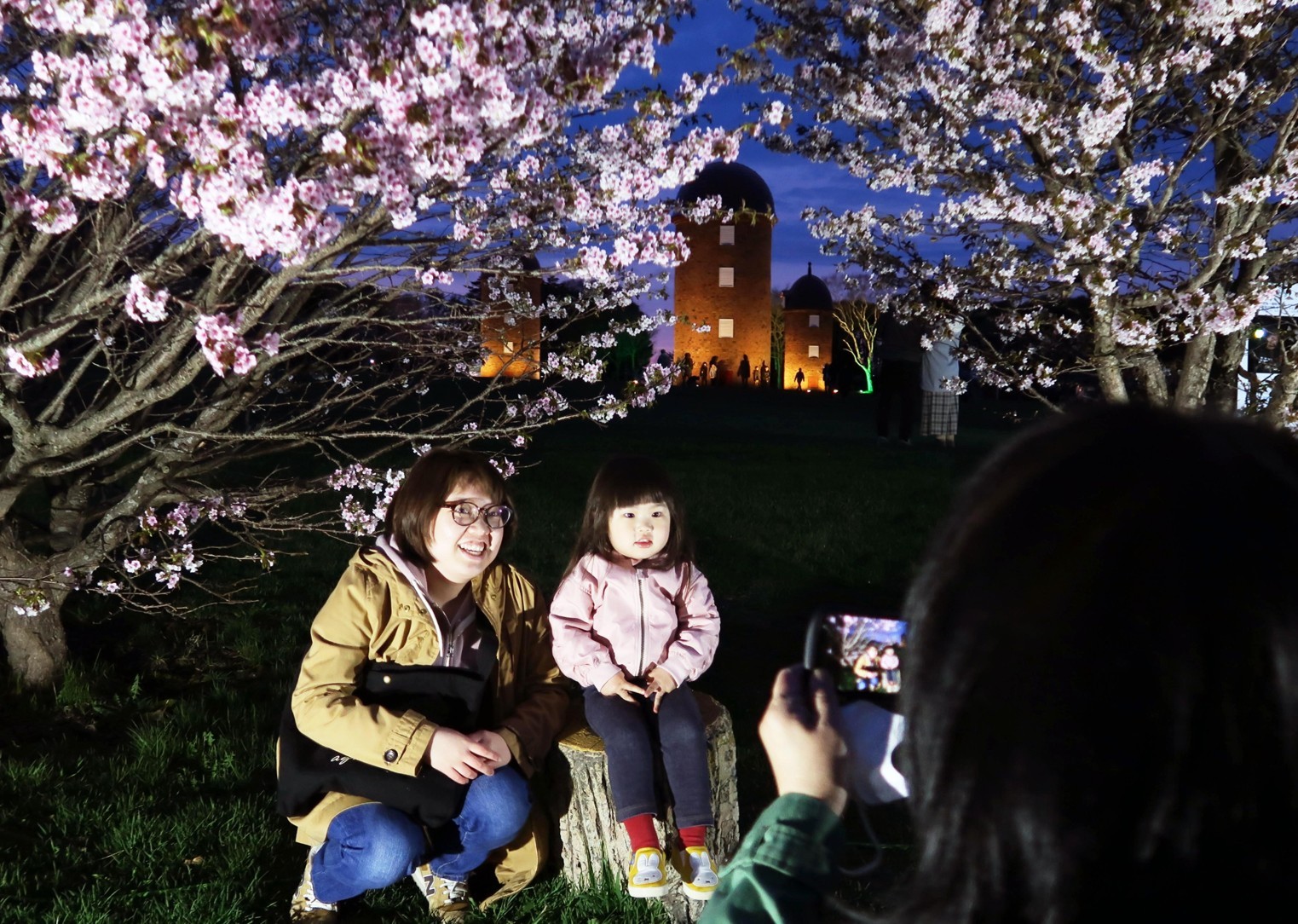 サクラとサイロ映え写真 明治公園でライトアップ(2023-05-08)