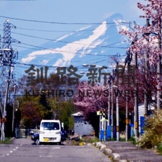 「見返りキツネ」くっきり　雪解け進み姿現す　遠音別岳(2023-05-14)