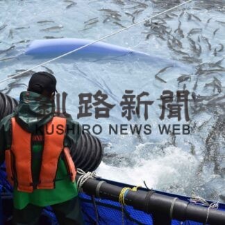 トラウトサーモンを養殖　早期事業化へ実証実験(2023-05-25)