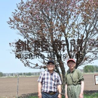 「鶴居丹頂八重」を名物に　〝花咲かじいさん〟奮闘　さくら保護、開花へ_1(2023-05-20)