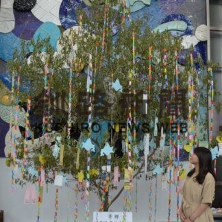 釧路空港に七夕飾り設置【釧路市】(2023-07-01)