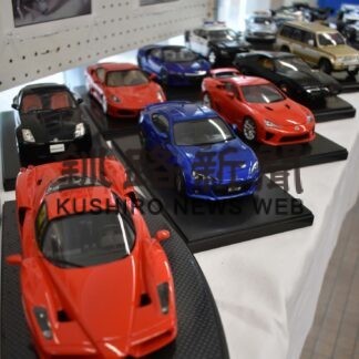 Ｆ１プラモなどずらり　弟子屈郵便局で青木さんが作品展【弟子屈】(2023-06-07)