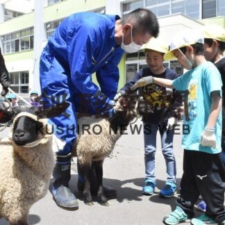 昭和小で羊２頭飼育「３カ月間仲良くね」【釧路市】(2023-06-24)