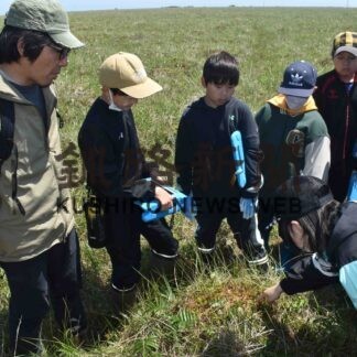 歯舞湿原の希少な環境学ぶ　歯舞学園６年生が散策【根室】(2023-06-25)