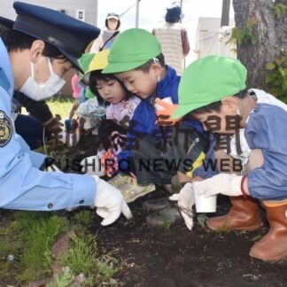 ヒマワリに交通安全願う　根室カトリック幼稚園で種まき【根室】(2023-06-08)