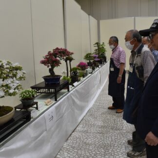 会員らの逸品６０点並ぶ　釧路盆栽会、４年ぶり作品展【釧路市】(2023-06-11)
