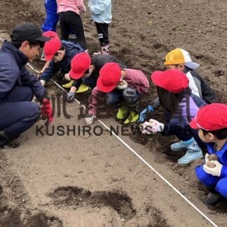 町内６校児童１００人、種イモ植え楽しむ　標茶高で農作業体験学習【標茶】(2023-06-04)
