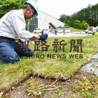 ゆめの森公園芝生の清野建設補修【中標津】(2023-06-17)