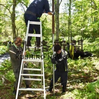 野生動物の環境守る　道有林で森づくり　浜中のＮＰＯ法人【浜中】(2023-06-02)