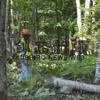 クマ出没防ぐ、阿寒湖マリモ幼稚園一帯草刈り【釧路市】(2023-07-01)