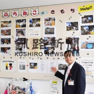 ネコの表情さまざま　茶内郵便局で写真展　ポラリス☆浜中【浜中】(2023-06-17)