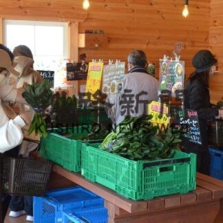 野菜直売所　今季の営業開始　取れたて、旬の野菜並ぶ(2023-06-02)