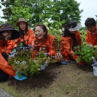 芸術館前の遊歩道彩り　釧商女性会が植栽【釧路市】(2023-06-23)