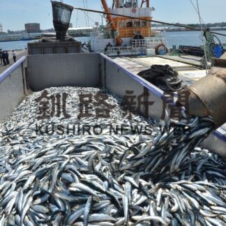 マイワシ続々水揚げ　道東沖巻き網漁始まる【釧路市】(2023-06-22)