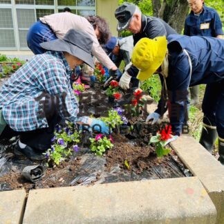自然の家と集会所にサルビアなど200株　縫別地区協議会が植栽【白糠】(2023-06-07)