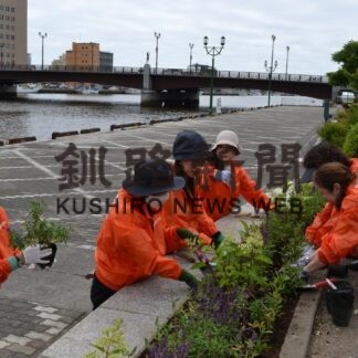 防災上の制約乗り越え植栽　釧商女性会、釧路川プロムナードに彩り(2023-07-22)