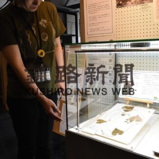 熱い植物愛感じて　釧路市立博物館「推し花の押し花」展【釧路市】(2023-07-14)