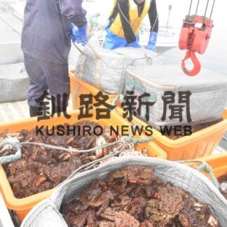 花咲カニかご漁解禁　「型まあまあ」【根室】(2023-07-12)