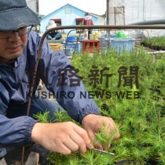 苗木生産の作業体験　北森カレッジが谷口農園で実習【標茶】(2023-07-07)