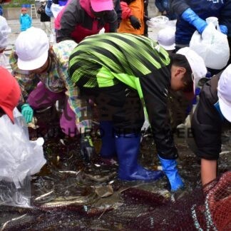 「カレイいっぱい」地引き網体験に笑顔　歯舞学園【根室】(2023-08-12)