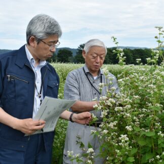 農作物の生育状況確認　木村釧路総合振興局長が弟子屈、標茶で(2023-08-06)