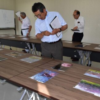 別保公園の桜、応募作品を審査　桜まつりフォトコン【釧路町】(2023-08-02)