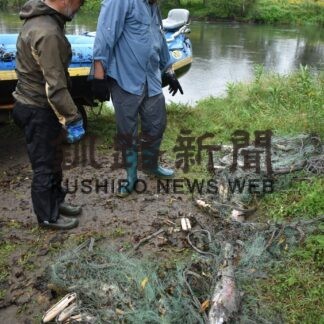 釧路川でサケ密漁、刺し網回収【標茶】(2023-09-01)