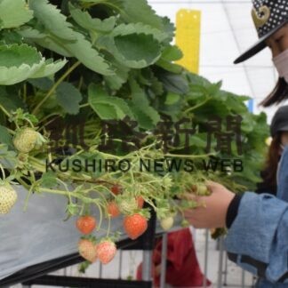 親子で地産地消体験　釧路でツアー【釧路市】(2023-08-09)