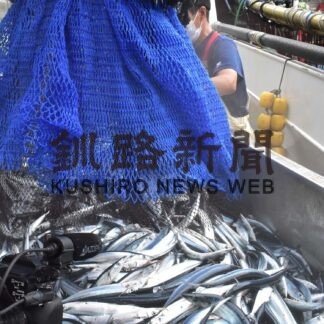 サンマ大型船初水揚げ　競り高値で１㌔４２１円【根室】(2023-08-26)