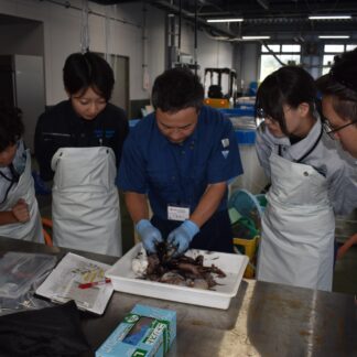 東海大生 水産分野学ぶ　根室でインターンシップ【根室】(2023-09-10)