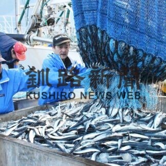 サンマ 花咲港今季最高　棒受け網漁、４８５㌧水揚げ(2023-09-22)