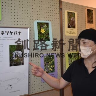 「標津の豊かな自然知って」　パネル展で植物紹介【標津】(2023-09-24)