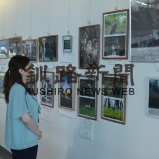 ＡＴＷＳを記念、釧路空港で作品展【釧路市】(2023-09-15)