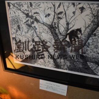 独特の世界観表現　コローンさん、石丸さんが展示会【釧路市】(2023-09-26)