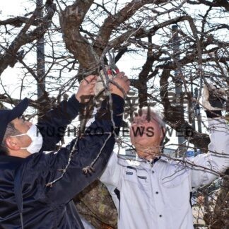「千島桜」大切に育てて　根室で講習会【根室】(2023-10-31)