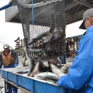 秋サケ不漁スタート　９月末で釧路１５％、増根室２０％減(2023-10-12)