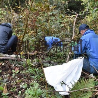 オオハンゴンソウ、春採公園で防除　釧路市公園緑化協会【釧路市】(2023-10-22)
