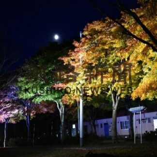 紅葉ライトアップ試験点灯　イベント実施へ可能性探る【標茶】(2023-10-25)