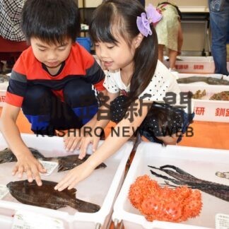 生きた魚に触れる　釧路庁舎を一般公開　水研機構【釧路市】(2023-10-02)
