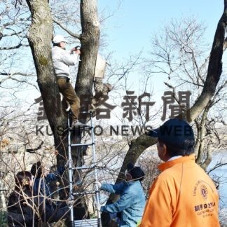 小鳥の巣箱掛け替え　ぬさまいライオンズクラブ【釧路市】(2023-11-20)