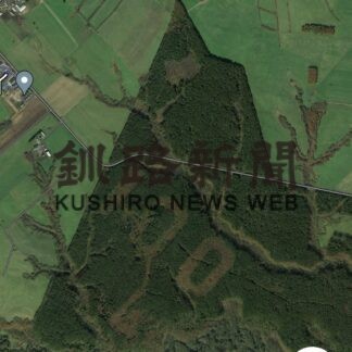 別海の森に謎の数字「１００」現る(2023-11-14)